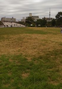 大島小松川公園-広場