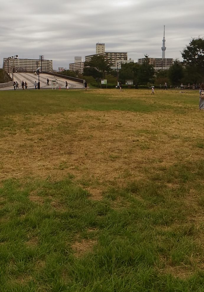 大島小松川公園-広場