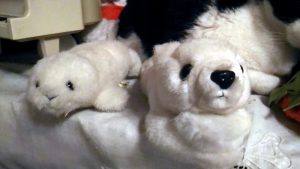 パウワウのぬいぐるみ