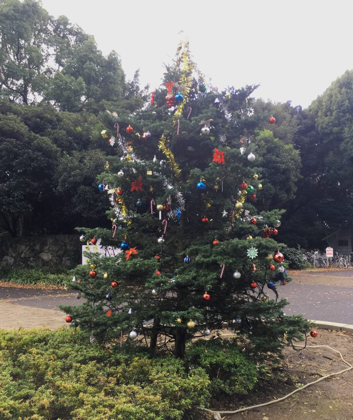 クリスマスツリー