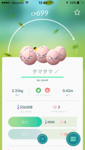 タマタマ