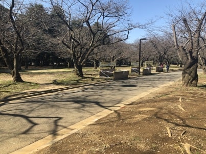 お花見スポット