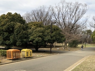 南門への交差点