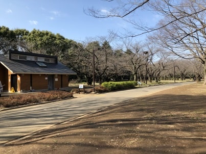 お花見スポットそばのトイレ