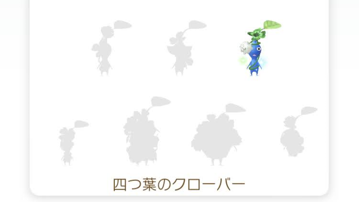 四つ葉のクローバー