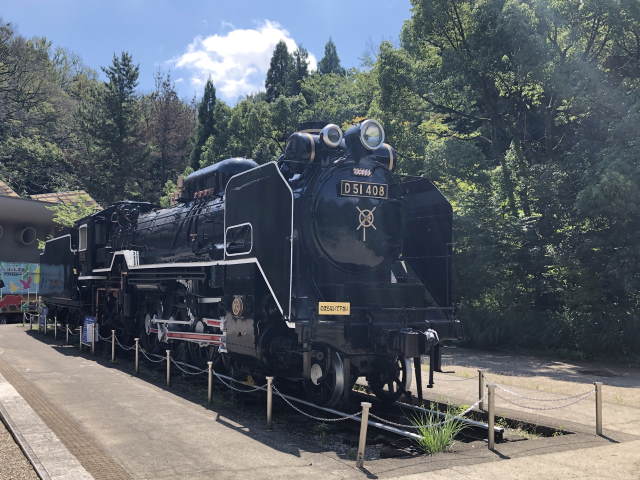 生田緑地のD51蒸気機関車