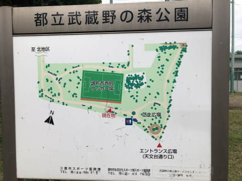 武蔵野の森公園-南地区