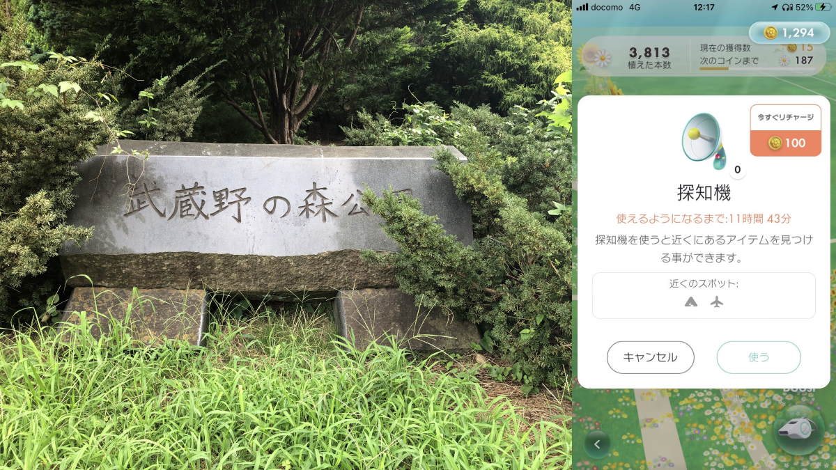 ピクミンブルーム-武蔵野の森公園で山と飛行場のデコピクミン