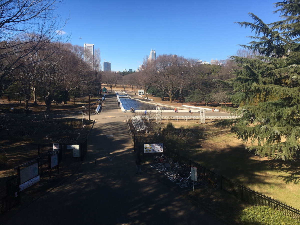 代々木公園_展望デッキより
