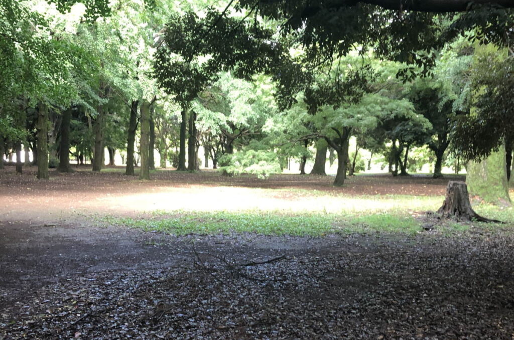代々木公園_木陰
